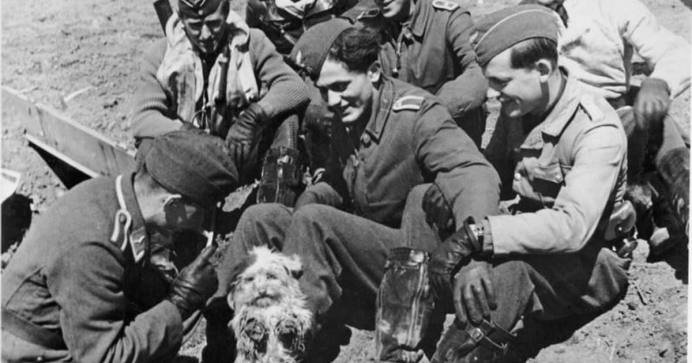 Günther Rall – Third Highest scoring Air Ace of All Times – 275 ...