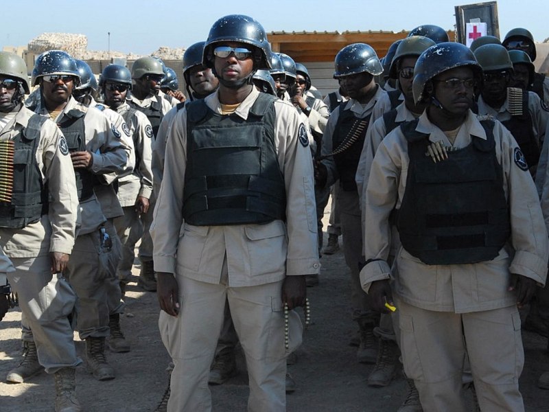 War for Sale: Private Military Companies and International&nbsp;Relations